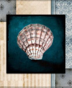 Blue Sea Clam Shell 2