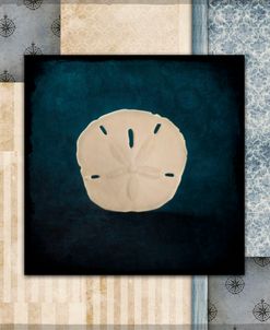 Blue Sea Sand Dollar