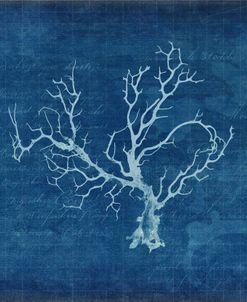 Gypsy Blue Cyanotype V1