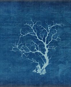 Gypsy Blue Cyanotype V2