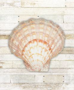 Gypsy Sea Coastal 1