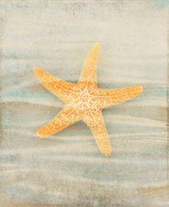 Gypsy Star 1