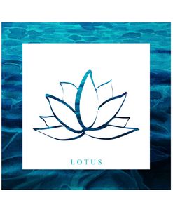 Yoga V1 Lotus