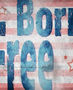 American Born Free Sign Collection 1