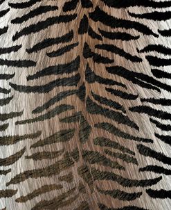 Animal_SurfacePattern V1 7