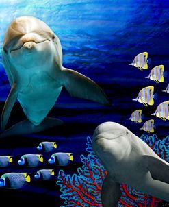 Sea Creatures_Dolphines 2