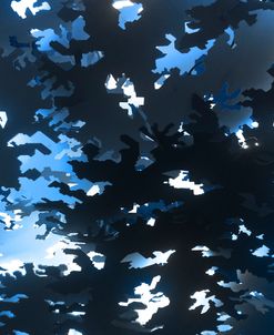 The New Camo 1