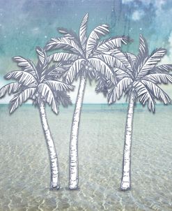 Signs_PalmTrees