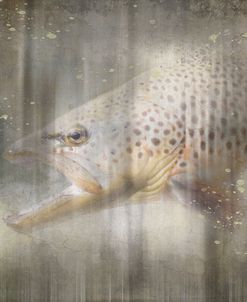 Antique Wildlife Brown Trout