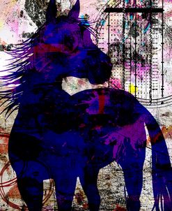 My Painted Pony 03