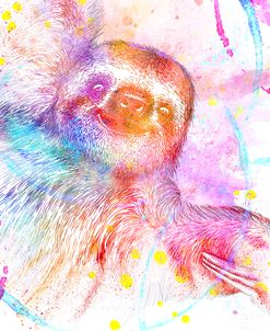 Painted Pink sloth