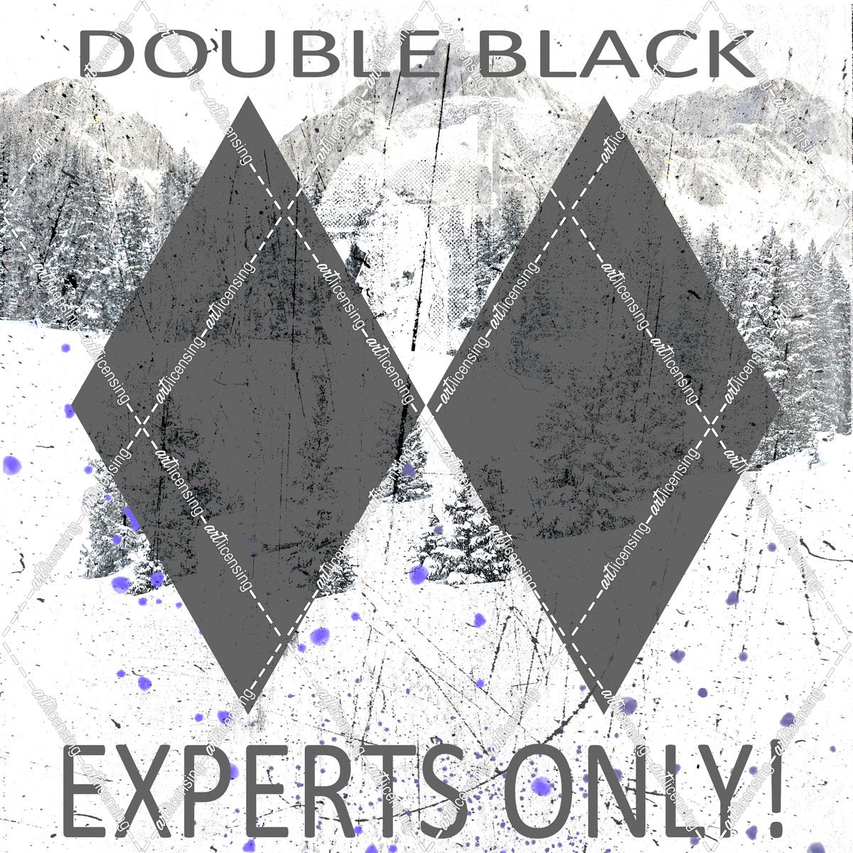 Extreme Snowboarder Double Black