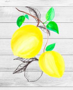 Farm Lemon 03