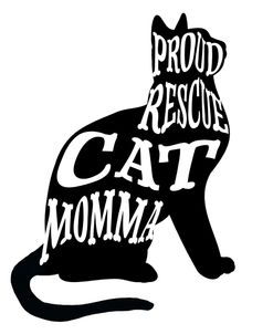Rescue Cat 01