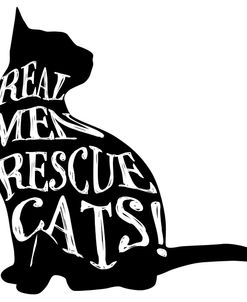 RescueCat 07