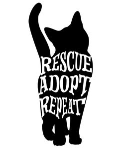 RescueCat 08