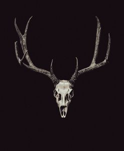 The Rustic Antler 04