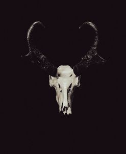 The Rustic Antler 05