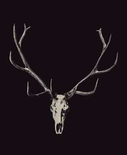 The Rustic Antler 01