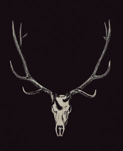 The Rustic Antler 02