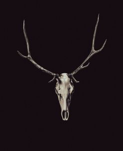 The Rustic Antler 03