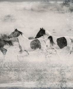 Farmhouse Wild Horses