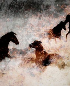Wild Mustangs of the High Plains