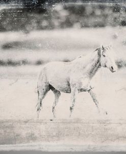 Farmhouse Ghost Stallion