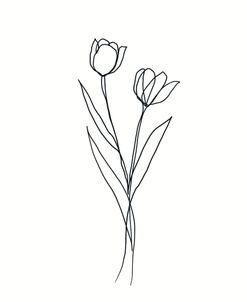 Line Tulips 1