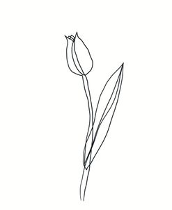 Line Tulips 2