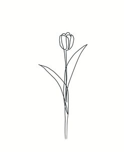 Line Tulips 3