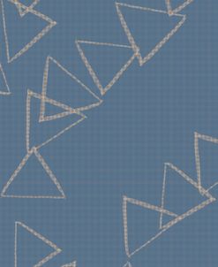 Triangle Shoe Geometry 1