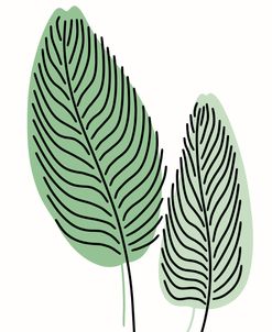 Fern Lines Pair 2