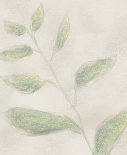 Botanical Single Growth 2