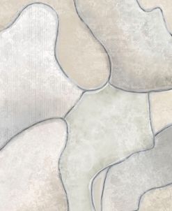 Textured Shapes Wandering