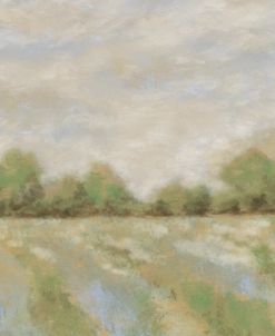 The Fieldscape