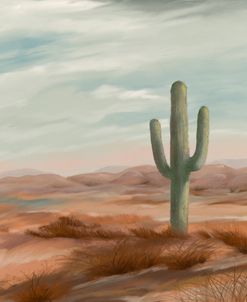 American South West
