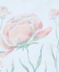 Soft Peony Dream