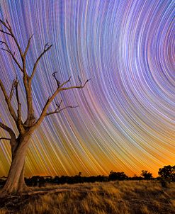 Hilltop Startrail