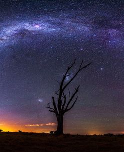 Milky Way Pano 2