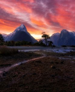 Milford Sound