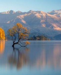 Wanaka