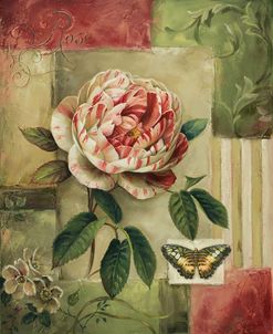 Rose And Butterfly