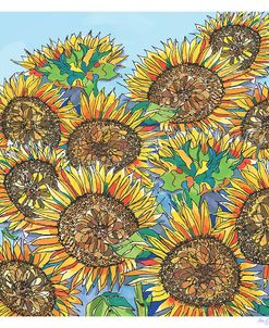 Sunflowers Upclose