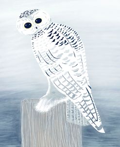 Snowy Owl