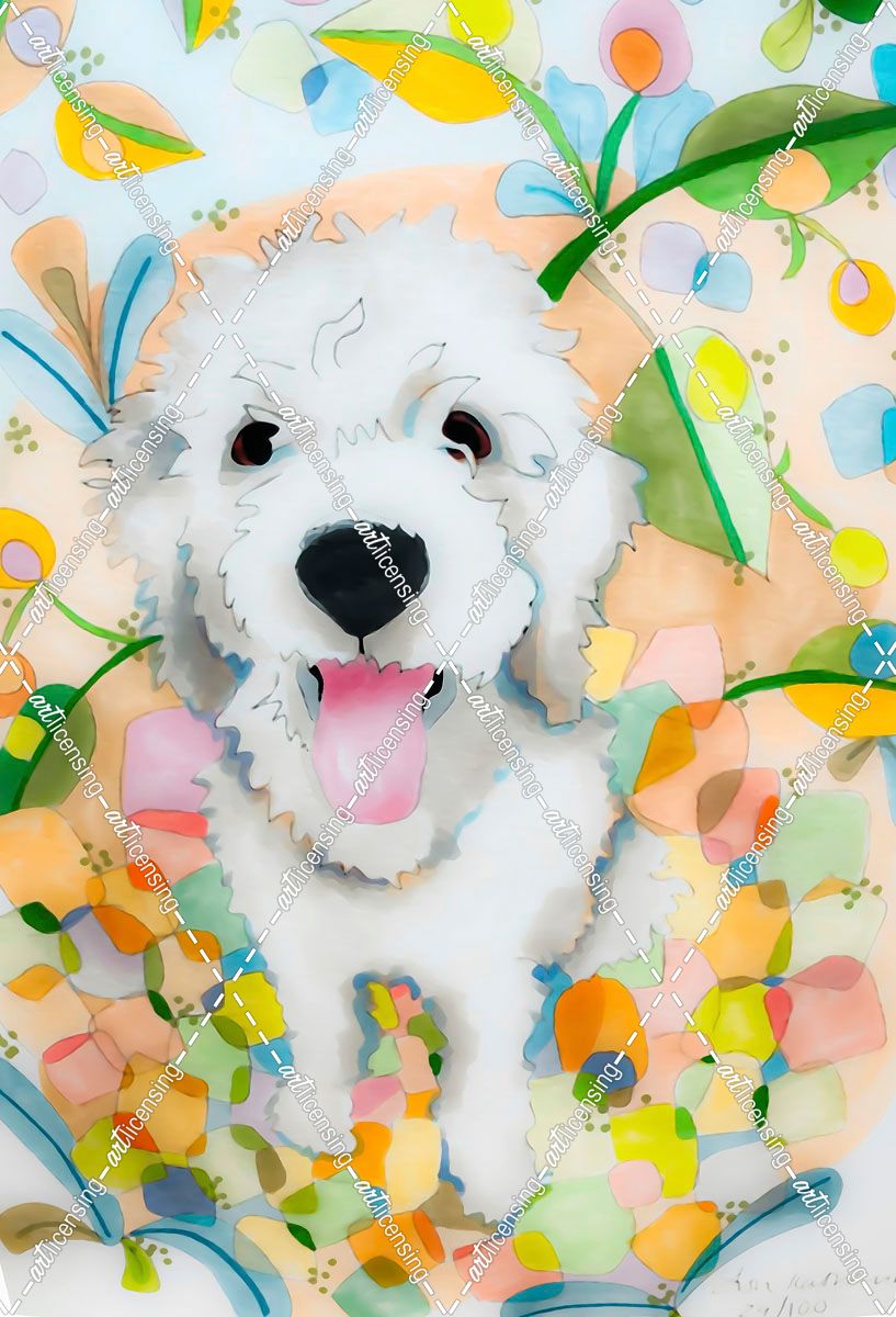 White Happy Pup
