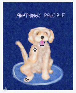 Anything’s Pawsible