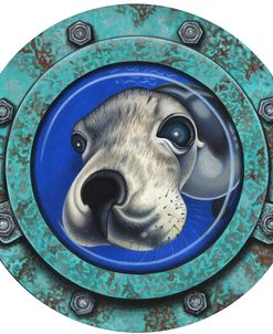 Seal Porthole