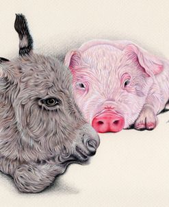 Donkey And Pig