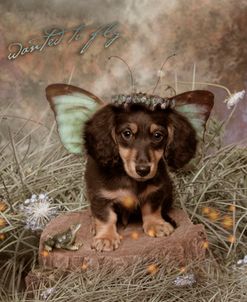 Fairy Dog